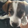 Ben Mcguire  - @ben.mcguire2005 - TikTok
