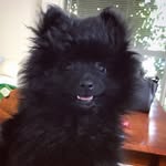 Benny - @benny.mcleish - Instagram