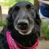 Ben - @ben.mcnally.143 - TikTok