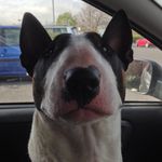 Ben Mcnally - @ben_mcnally111 - Instagram