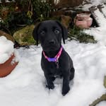 Ben Mcneill - @mcneillben - Instagram