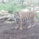 ben mcneill - @mcneill_ben - Instagram