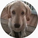 Ben McNeill - @ben_mcneill08 - Instagram