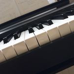 Ben Meehan - @ben__meehan - Instagram