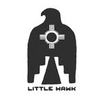 Ben and April Meeker - @littlehawkstables - Instagram