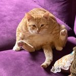 Ben “Melton” - @crudge.dungeon - Instagram