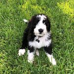 Ben Melton - @benmelton7 - Instagram