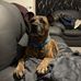 Ben Merrick - Facebook