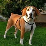 Ben Meyers - @ben.meyers.562 - Instagram