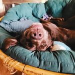 Ben Minor - @benj_io - Instagram