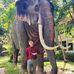 Ben minor - เบญ - Facebook