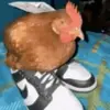 MINI PINDAR - @benmonroex - TikTok