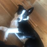 @ben_morrell - Instagram