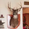 Ben Mount - @benmount - TikTok