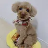mugibeni - @mugibeni - TikTok
