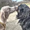 user499590818597 - @benimugi - TikTok