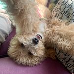 Ben Muir - @benmuir9 - Instagram