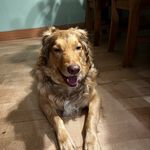 Ben Mullin - @theswede9 - Instagram