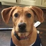 Ben Mullin - @ben_mullin21 - Instagram
