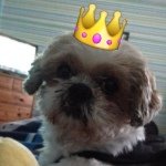 @bennmulvey - Instagram