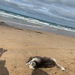 ben Munro - @benmunro2007 - Instagram