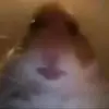 Ben Murdoch - @benmurdoch16 - TikTok