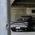 Ben Murdoch - @kiwi.exotics - Instagram