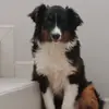 benjim - @benmuri8 - TikTok