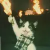 ben.music.post - @ben.music.post - TikTok