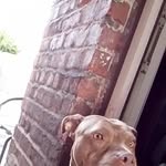 Ben Myatt - @myatt3832 - Instagram