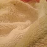 Bennadi Ghezlan - @bennadighezlan - Instagram