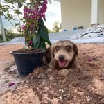 Ben - @bennagy64 - Instagram