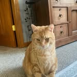 Ben Nagy - @bennagy32 - Instagram