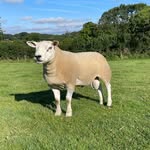 Ben Nankivell - @ben_nankivell06 - Instagram