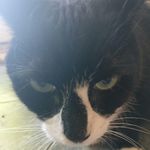 Ben Nardone - @ben.nardone - Instagram