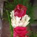 B Naskar S - Facebook