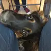 Bennathan - @bennybennathan - TikTok