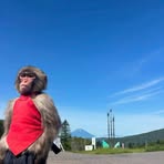 Ben Nation - Facebook
