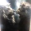 bennau178 - @bennau178 - TikTok