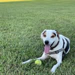 Ben Naughton - @bnaughton2 - Instagram