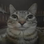 ben_neatherlin - @ben_neatherlin - Instagram