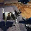 Ben Neatherlin - @ben.neatherlin - TikTok