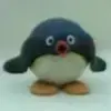 Ben Neb - @benneb1728 - TikTok