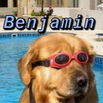 ben neely - @ben.neely - Instagram