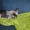 beneeri - @beneeri - TikTok