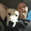 Ben Nethercote - @bennethercote - TikTok