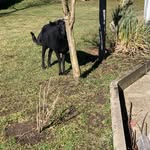 Ben neubauer - @ben.neubauer.at - Instagram