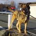 Benjamin Neubauer - Facebook