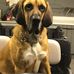 Ben Neuman - Facebook