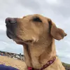 Ben_New_2025 - @ben_new_27 - TikTok